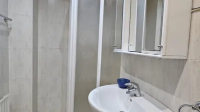 Flat in Arrigorriaga photo 15