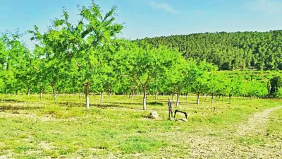 Terreno en venta en La Romana - Vista 2