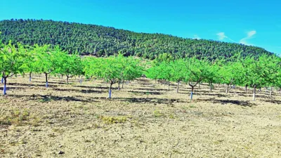 Terreno en venta en La Romana - Vista 3