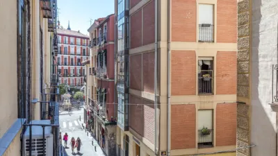 Flat in Palacio photo 25