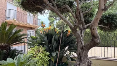 House in Sant Vicenç de Montalt photo 7
