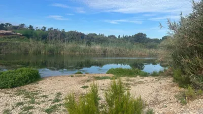 Dúplex en Les Cases d'Alcanar photo 34