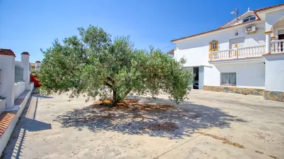 Rustic Finca in Bermejo photo 10