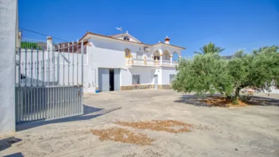 Rustic Finca in Bermejo photo 24