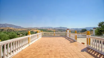 Rustic Finca in Bermejo photo 26
