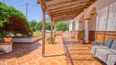 Rustic Finca in Bermejo photo 14