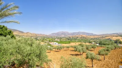 Rustic Finca in Bermejo photo 7