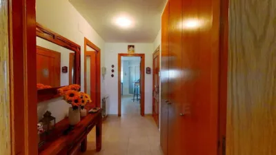 Apartment in Les Salines-Clot del Bassó-Mota de Sant Pere photo 33