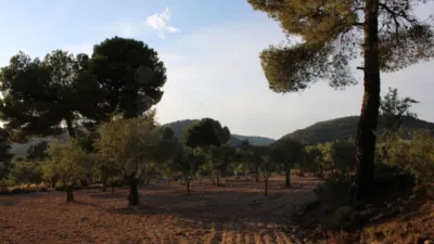 Finca rústica en Onil photo 35