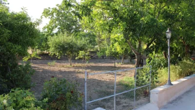 Finca rústica en Onil photo 17