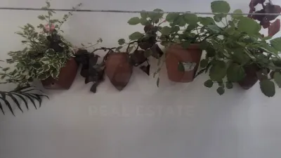 Apartment in Charco Dulce photo 4