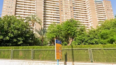 Apartment in Alicante photo 34