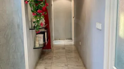 Apartment in Alicante photo 33