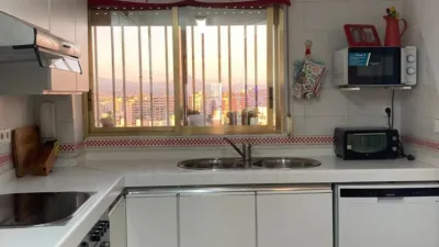 Apartment in Alicante photo 28
