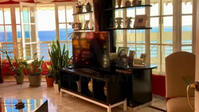Apartment in Alicante photo 5