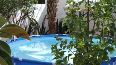 House in Albaricoques photo 39