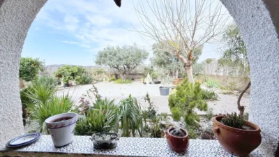 Pis – Alicante - Alacant - Vista 2