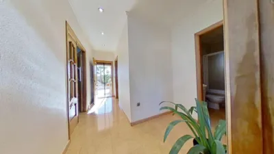 Chalet in Crevillent photo 13