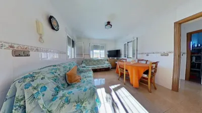 Chalet in Crevillent photo 22