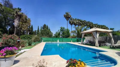 Rustic Finca in Centro photo 4