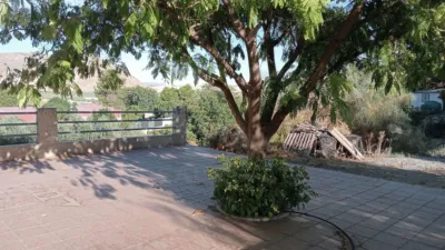 Chalet in Dehesas de Guadix photo 22