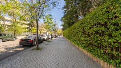 Apartment in El Viso photo 5