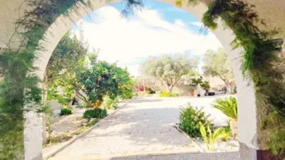 Pis – Alicante - Alacant - Vista 3
