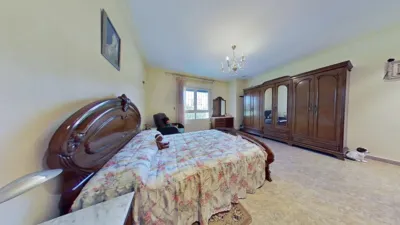 Chalet in Elche photo 30