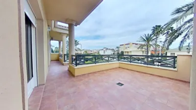 Chalet in Elche photo 34
