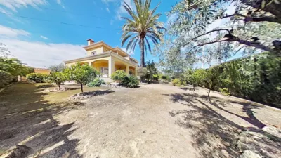 Chalet in Elche photo 3