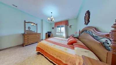 Chalet in Elche photo 31