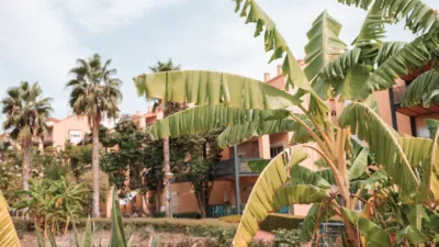 Penthouse in El Romeral-Santa Amalia photo 29
