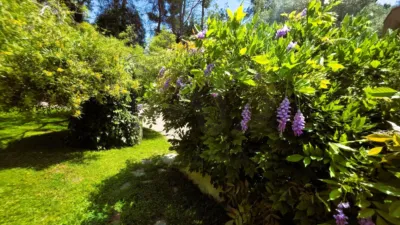 Chalet in Valldoreix photo 6