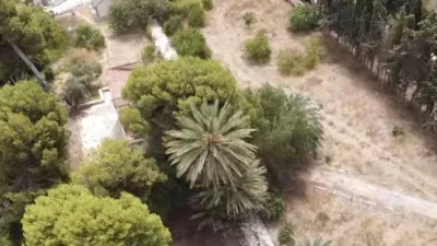 House in Alicante photo 4