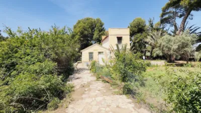 House in Alicante photo 25