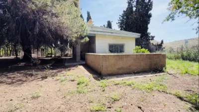 House in Alicante photo 15