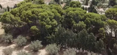 House in Alicante photo 8
