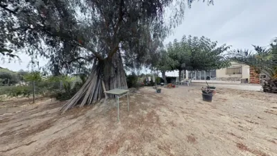 Chalet in Elche photo 14