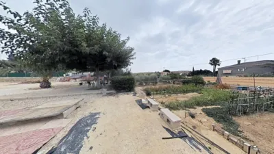 Chalet in Elche photo 9