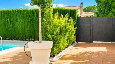Rustic Finca in Calasparra photo 23
