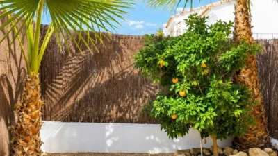 Rustic Finca in Calasparra photo 24