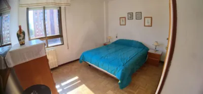 Apartment in Aranda de Duero photo 37