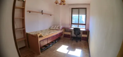 Apartment in Aranda de Duero photo 28