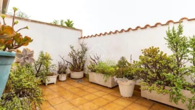 Duplex in Sant Feliu de Llobregat photo 22