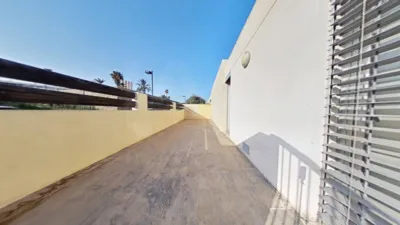 House in Alicante photo 19