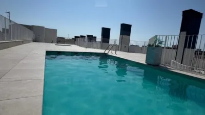 Apartment in Alicante photo 6