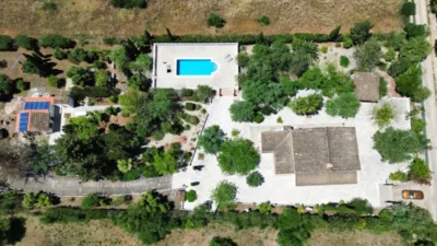 Rural Finca in Algaida photo 3