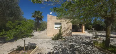 Rural Finca in Algaida photo 9