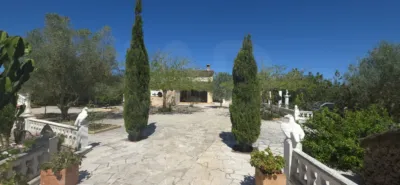 Rural Finca in Algaida photo 8