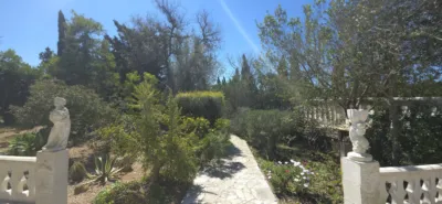 Rural Finca in Algaida photo 39